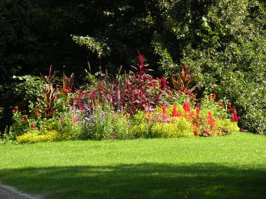  fleurs et arbustes, Sainte-Marie
